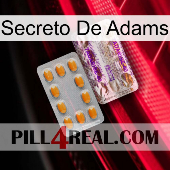 Adams Secret new12.jpg